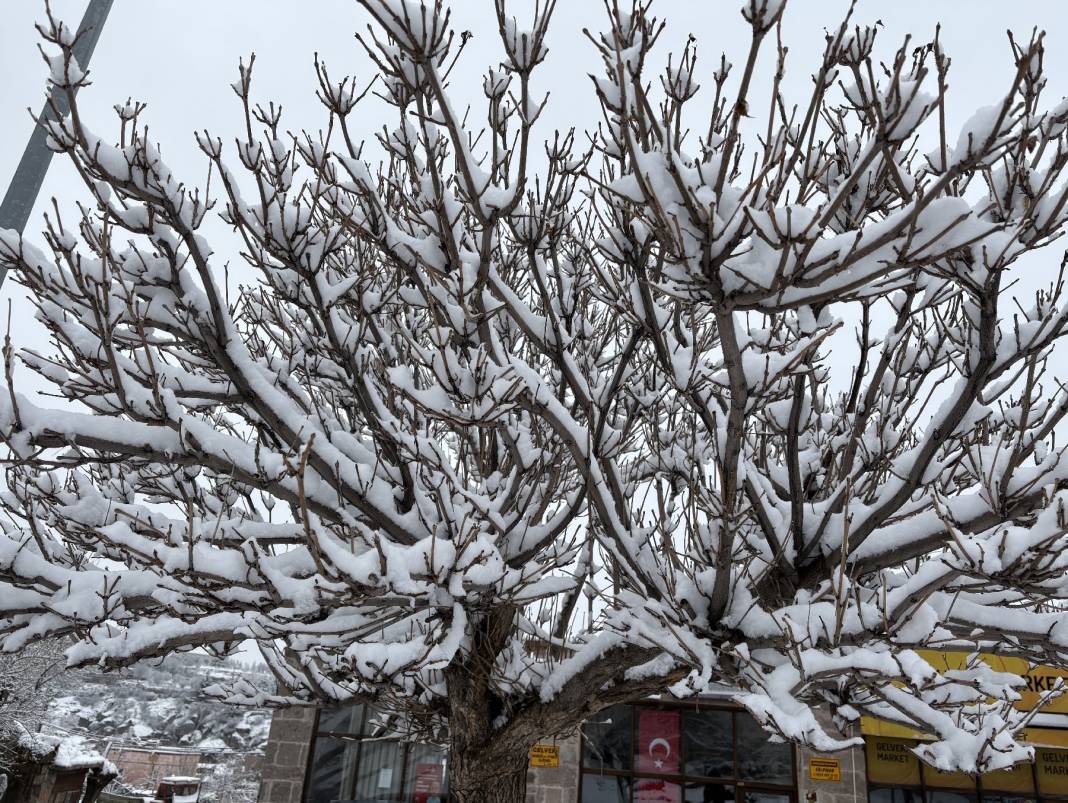 Vatandaş hem sevindi, hem üzüldü! Aksaray'da çiçek açan ağaçlar beyaza büründü 7